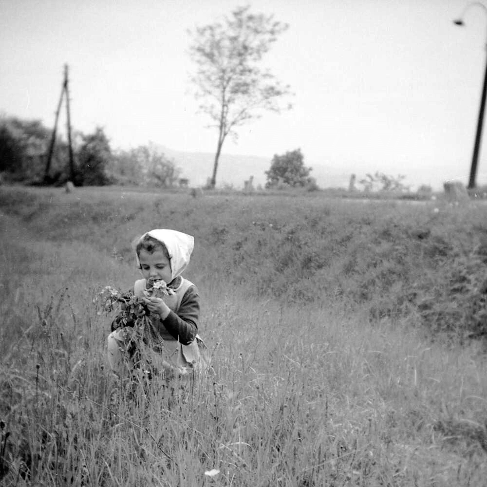 Mézes ajándékok - Tavaszi Mézválogatás (3x90g)