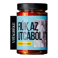 FIÚK AZ UTCÁBÓL - Gesztenyeméz 450g