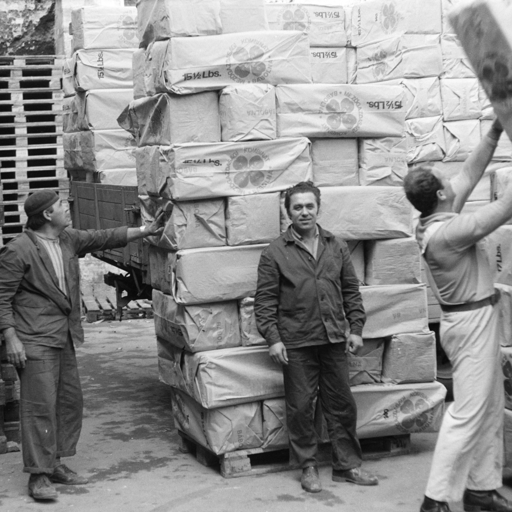 Szállítási lehetőségek